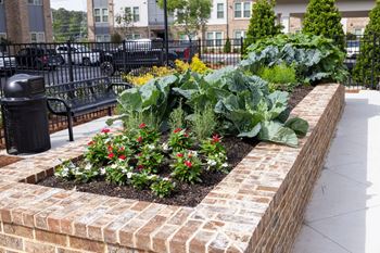 Community garden